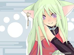 Фотографии Neko Girls