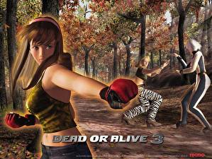 Фото Dead or Alive Dead or Alive 3 Игры