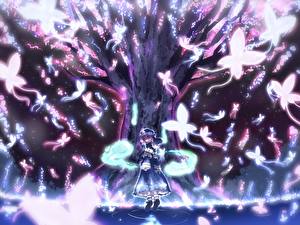 Фотография Touhou Collection