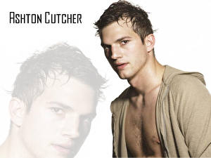 Обои Ashton Kutcher