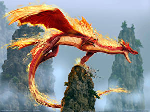 Фотография Dragon Blade Дракон компьютерная игра