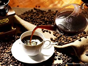 Фотографии Напиток Кофе Зерна Пища