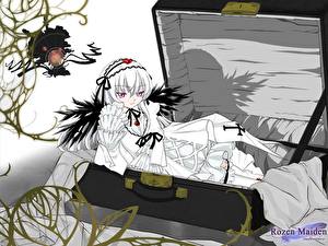 Фото Розен мейден Чемоданом