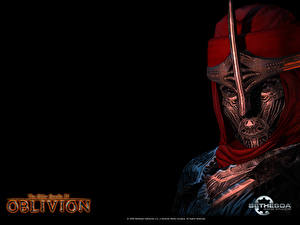 Фото The Elder Scrolls The Elder Scrolls IV: Oblivion компьютерная игра