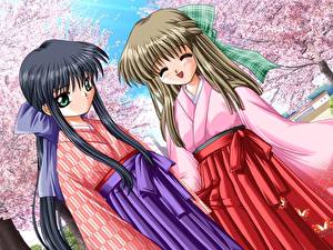 Фотография Kanon