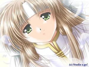 Фотография Angel's Feather