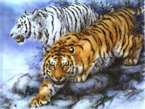 Картинки Большие кошки Тигры Рисованные Животные