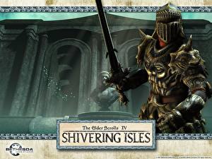 Обои The Elder Scrolls The Elder Scrolls IV: Oblivion Shivisles