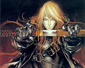 Фотография Castlevania