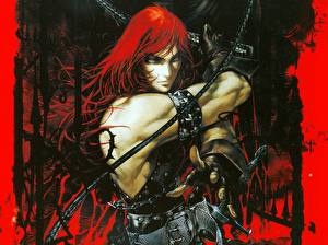 Картинки Castlevania компьютерная игра