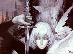 Фотографии Castlevania