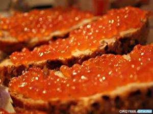 Обои Бутерброд Икра Продукты питания