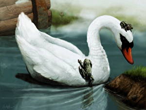 Фотографии Птица Лебеди Животные