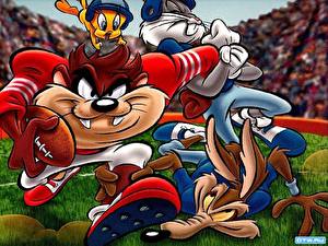 Фотографии Луни Тюнз