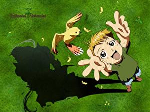 Обои Full Metal Alchemist