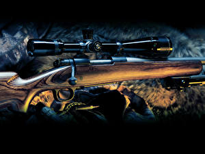 Картинка Винтовка Снайперская винтовка Оптический прицел военные