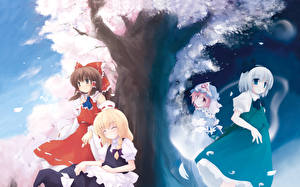 Обои Touhou Collection