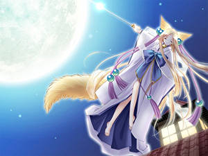 Картинка Kitsune Аниме