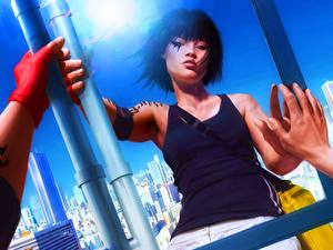 Обои Mirror's Edge