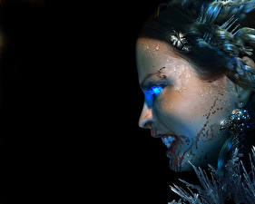 Картинка Магия крови Dawn of Magic