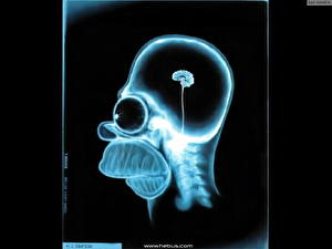 Картинка Simpsons