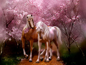 Фотография Лошадь Цветущие деревья Животные