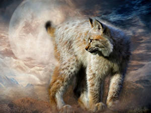 Картинка Большие кошки Рыси Рисованные животное