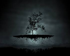 Картинки Векторная графика Деревья Природа