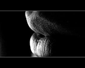 Картинка Губы