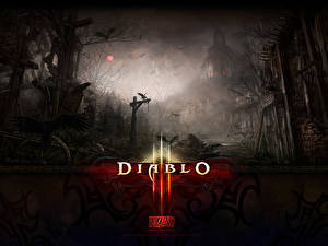 Фотографии Diablo Diablo 3 компьютерная игра